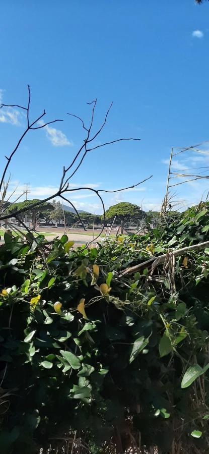 Les Iles D'Or Au Port De Hyeres Grand Studio Climatise Exterior foto